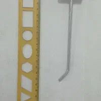 شاخک رگالی