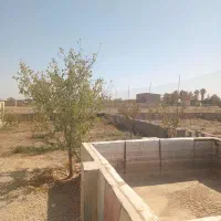۳۱۳ متر باغچه با کانکس استخر|فروش زمین و ملک کلنگی|تنکمان, |دیوار