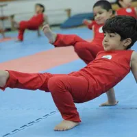 آموزش تخصصی ژیمناستیک