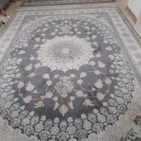 فرش ۹ متری و ۶ متری|فرش|رشت, استادسرا|دیوار
