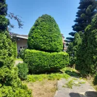 خدمات باغبانی و سمپاشی تضمینی