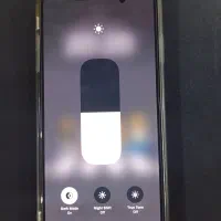 Xs max