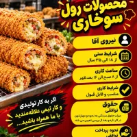کارگر آقا و خانم حرفه ای