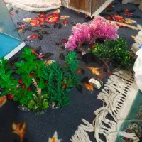 آکواریوم باتمام وسایل|ماهی|چهاردانگه (تهران), |دیوار