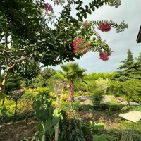 حراج کلی وسایل منزل