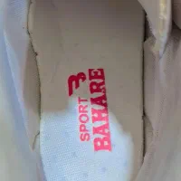 کفش|کیف، کفش، کمربند|اندیمشک, |دیوار