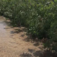 فروش باغ پسته