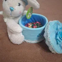 خرگوش پولیشی خارجی