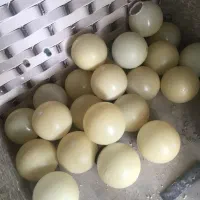 تعدادی حبابی باغی