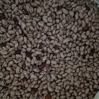 لوبیا چیتی درجه یک