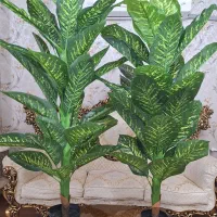 درختچه‌ مصنوعی  دیفن باخیا