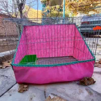 2جفت مرغ عشق تخم گذارونژاد دار با3عددقفس بزرگ دودر|پرنده|کرمان, |دیوار