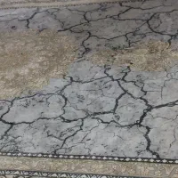 فرش درحدنو بدون کوچکترین زدگی