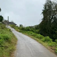 250 متر مسکونی ویوجنگلی، کاسبی|فروش زمین و ملک کلنگی|املش, |دیوار