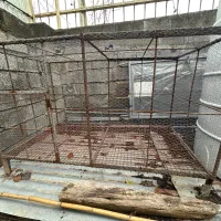 قفس جوجه|لوازم جانبی حیوانات|ساری, |دیوار