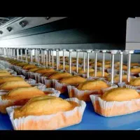 استخدام اقا در بخش تولید و راننده پایه۲ در کارخانه|استخدام صنعتی، فنی، مهندسی|تهران, آذری|دیوار