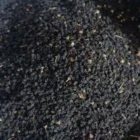 تخم‌پیاز زرد