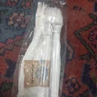 قاشق و چنگال یک بار مصرف