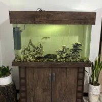 آکواریوم شیشه خم با ماهی و تجهیزات و میز تلویزیون