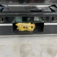 وسایل خانه|میز تلویزیون|بوشهر, |دیوار