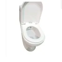 فرنگی /توالت فرنگی خروج ۱۰۰ مدل برمودا