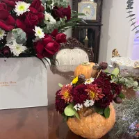 گل طبیعی برای دکور یلدا|گل و گیاه طبیعی|مشکین‌دشت, |دیوار