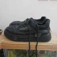 کفش زنانه|کیف، کفش، کمربند|بیرجند, |دیوار