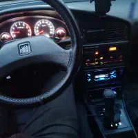 اردی کله غازی تمیز و سالم