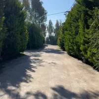 زمین-شهرکی-ساحلی