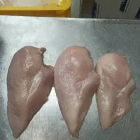 فروش قطعات مرغ گرم گوشتی