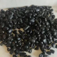 تخمه روغنی آجیلی