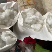 بالش|رختخواب، بالش، پتو|بوشهر, |دیوار