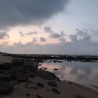همکار خانم ، مسئولیت پذیر و منظم همکاری در کافه