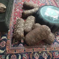 فرش و لوازم منزل|فرش|بیرجند, |دیوار