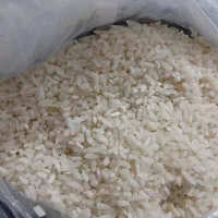 نیم دانه هاشمی