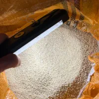 نیمدانه لاشه شکسته برنج هاشمی|خوردنی و آشامیدنی|رشت, شالکو|دیوار