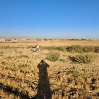 زمین زراعی آبی|فروش دفتر صنعتی، کشاورزی، تجاری|بشاریات, |دیوار