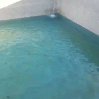 گلخانه هیدروپونیک جاده گلمکان|فروش دفتر صنعتی، کشاورزی، تجاری|مشهد, احمدآباد|دیوار