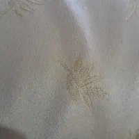 اجاره سند برای زندانی