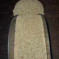 پخش عمده و جزئی دان و غذای انواع پرندگان