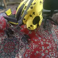 کالسکه|کالسکه و لوازم جانبی|تربتحیدریه, حسنی بالا|دیوار