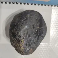 شهاب سنگ|جواهرات|محمدشهر, همایون ویلا|دیوار