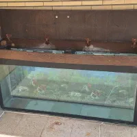 فروش اکواریوم
