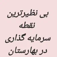 کلنگی بر الفت موقعیت بی نظیر تجاری