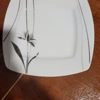 سرویس چینی|ظروف سرو و پذیرایی|اراک, |دیوار