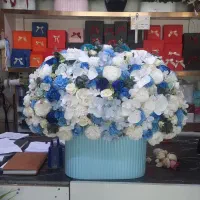گل نو