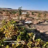 زمین کشاورزی ابی مناسب برای باغ ودامداری مرغداری