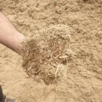 کاه|خدمات باغبانی و درختکاری|کارون, |دیوار