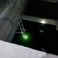 کارپرورش ماهی آب شیرین استخر یا گلخانه مشارکتی