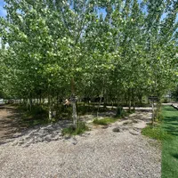 ویلا دار شدن آسان شد|فروش خانه و ویلا|بروجرد, |دیوار